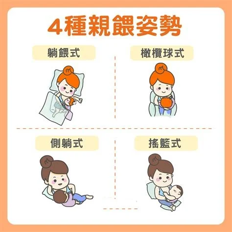 餵奶姿勢