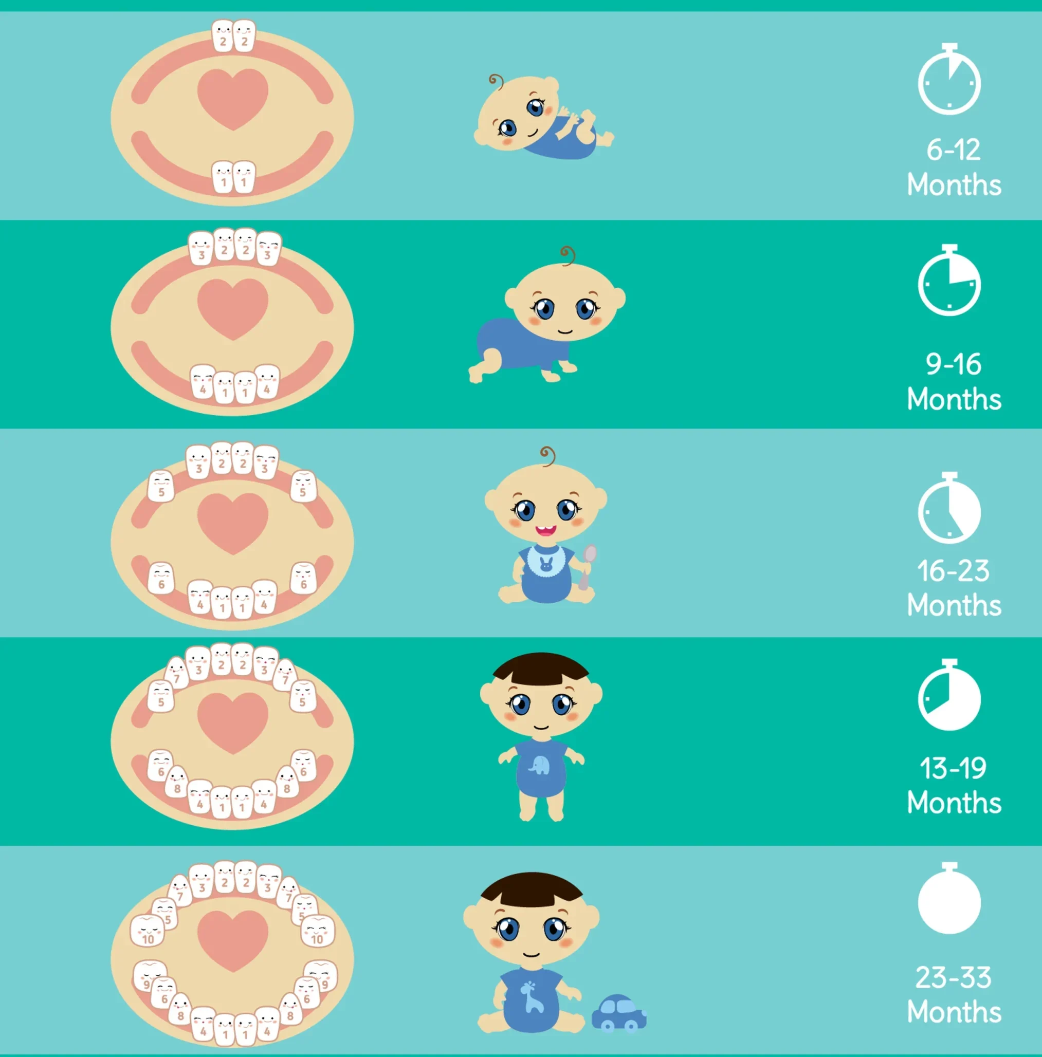 寶寶長牙睡不好：長牙時間表