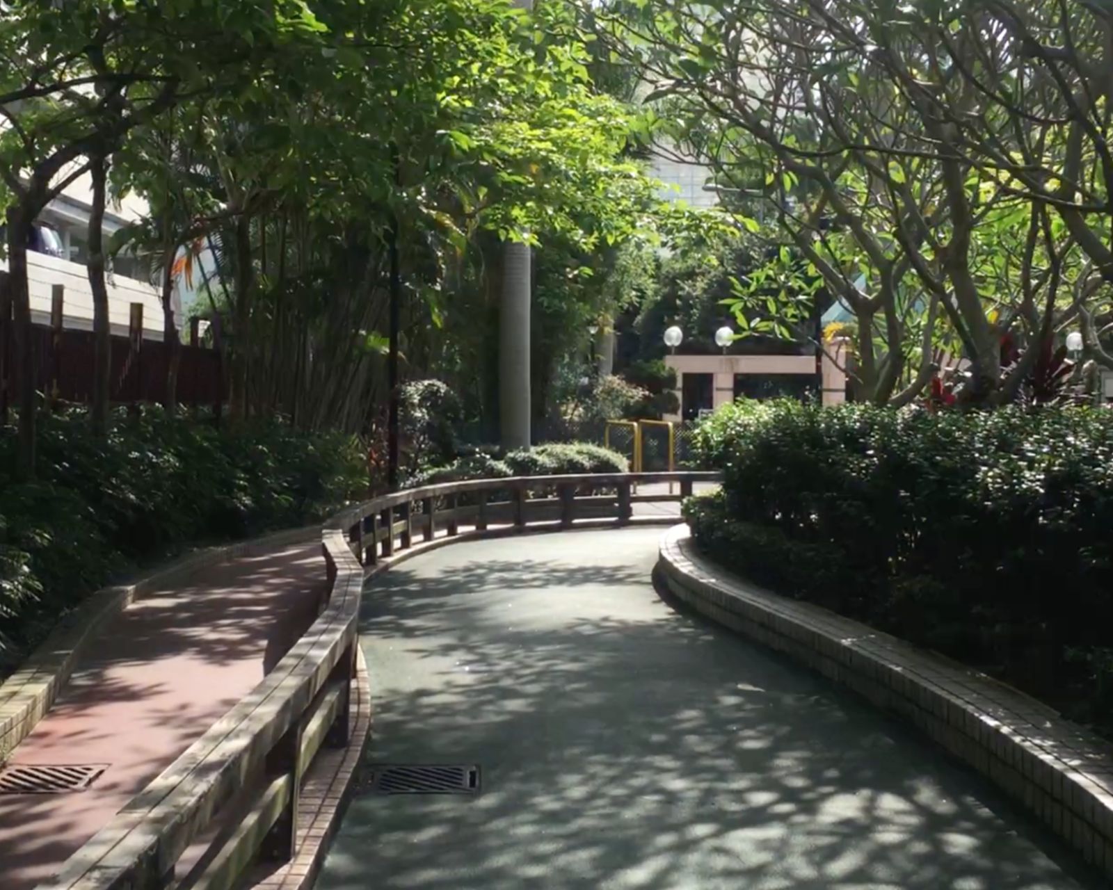 小朋友踩單車好去處:鰂魚涌公園單車徑