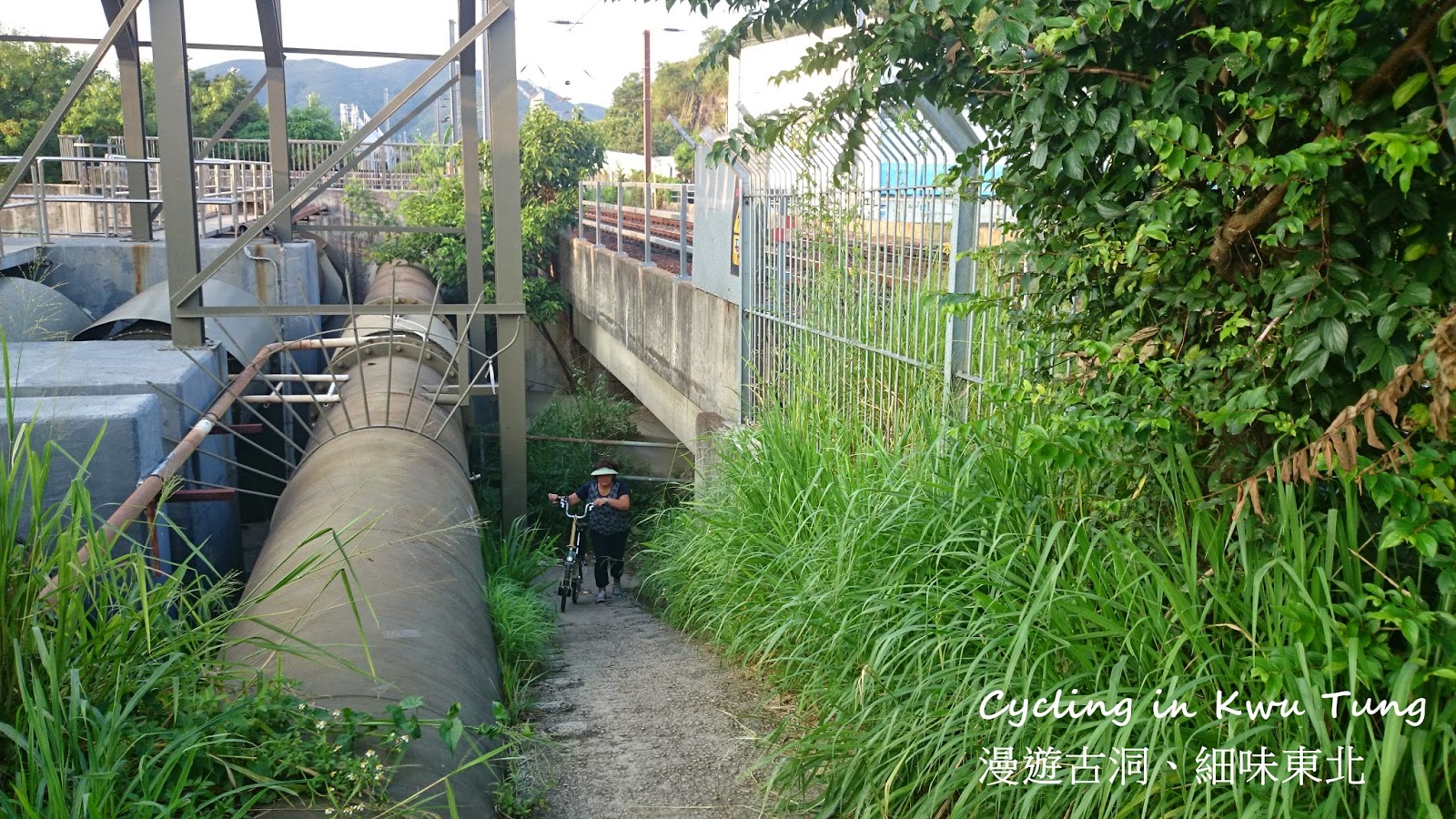 古洞至粉嶺龍躍頭文物徑單車路線- U Blog