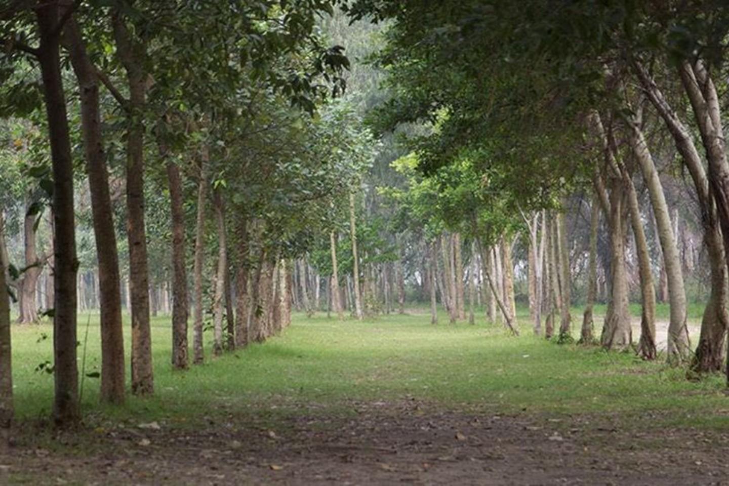 南生圍單車一日遊.元朗後花園