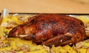 孕婦可以吃鴨肉嗎