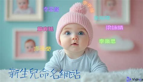 新生兒取名免費資源 新生兒命名網站 免費取名工具 操作畫面