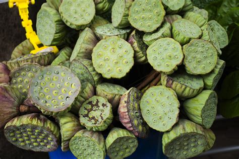 蓮子營養成分 新鮮與乾燥蓮子營養差異