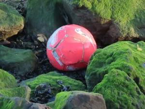 藏求尋寶 a red ball on rocks