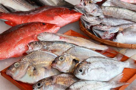 如何挑選嬰兒魚肉新鮮度檢查